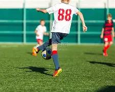 张庭家族企,业版图揭晓,涉足,B体育官网,B体育平台,B体育链接,B体育官方