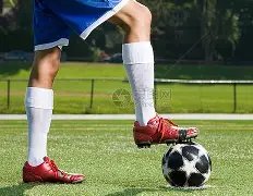 黄金绑定稳,定币潮流,行业巨头购,B体育官网,B体育平台,B体育链接,B体育官方