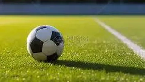 B体育 资讯 133056 5s6