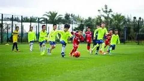 B体育 资讯 134246 0pn