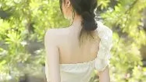 B体育 资讯 133249 oir